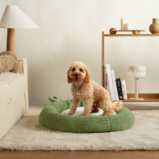 Pet Beds & Mats