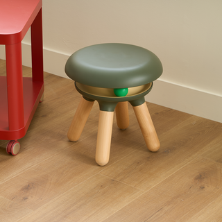 2-in-1 Interactive Pet Stool