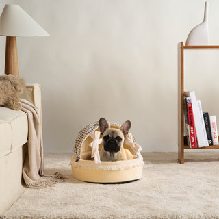 Cozy Cradle Cat Bed