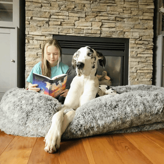 Dozy Donut Pet Bed