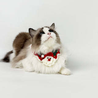 Hand Knit Christmas accessories for Pets