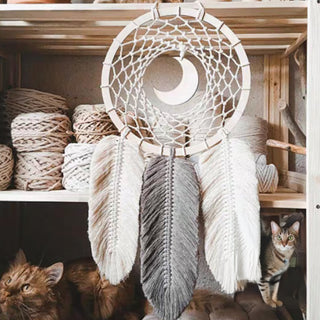 Moonlit Feather Dream Catcher