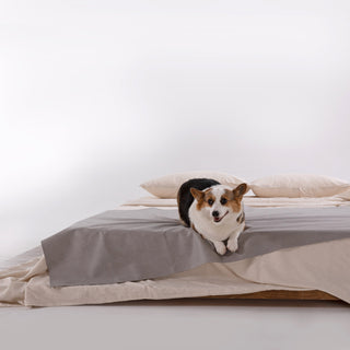 Waterproof Coverlet - Scratch Resistant for Dogs/Cats Family