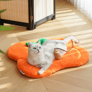 ZEZE Pets Permisson Cat Mat