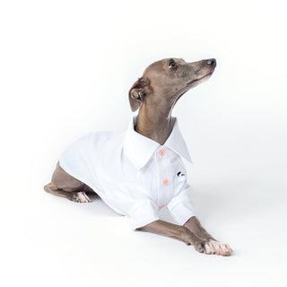 Cooling Anti-Allergy Bamboo Dog Shirt