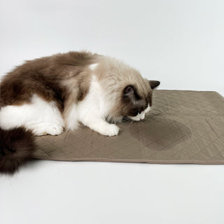 Waterproof Dog Bed Mat