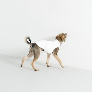 GASU's Flaner UPF1000+ Dog Vest