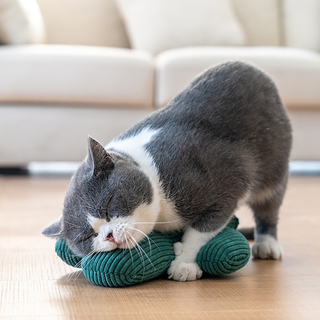 ZEZE Pets Cactus Catnip Toy