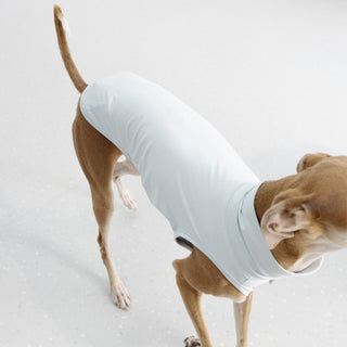 GASU's Flaner UPF1000+ Dog Vest