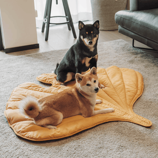 Furry Foliage Pet Mat