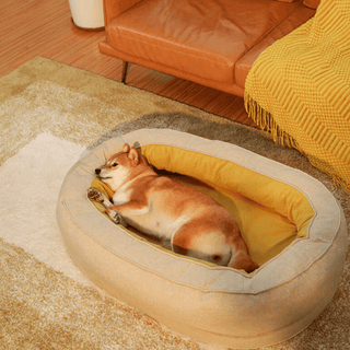 Dozy Donut Pet Bed