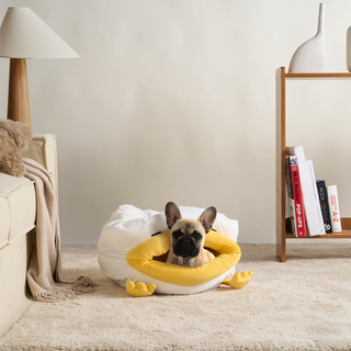 Duck Cozy Cat Bed & Foot Warmer