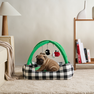 Playful Paws Interactive Cat Bed