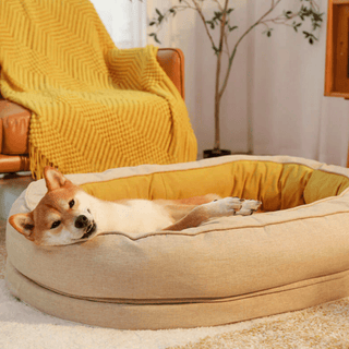 Dozy Donut Pet Bed