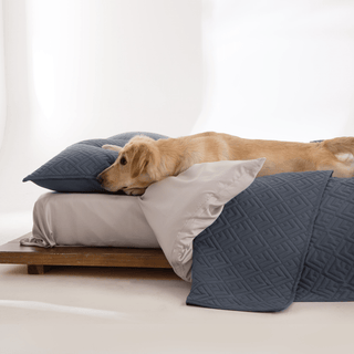 Quilted Bed Cover Set - Pet Hair Repellent for Dogs/Cats Family