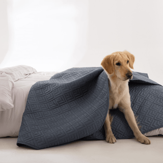 Quilted Bed Cover Set - Pet Hair Repellent for Dogs/Cats Family