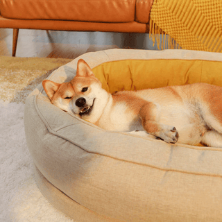 Dozy Donut Pet Bed