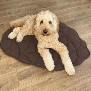 Furry Foliage Pet Mat