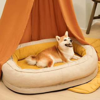 Dozy Donut Pet Bed