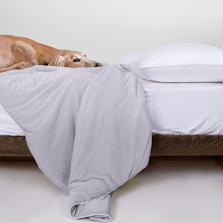 ChillGuard Quilt - Cooling & Pet Hair Repellent for Hot Sleepers/Pet Parents