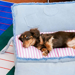 Spacious Foldable Denim Multi-Functional Dog & Cat Sofa Bed