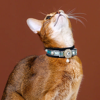 Velvet Choker Collar for Cats