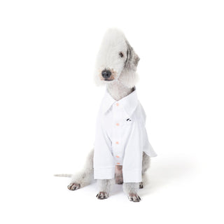 Cooling Anti-Allergy Bamboo Dog Shirt