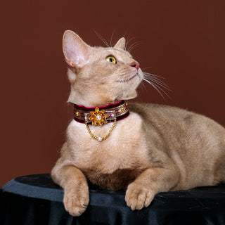 Velvet Choker Collar for Cats