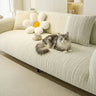 Cream Ivory